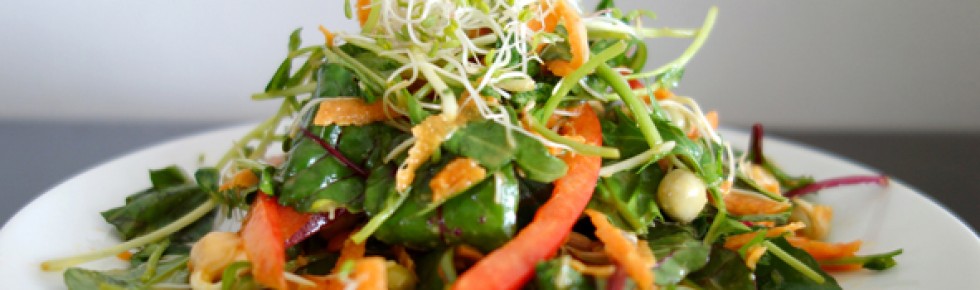Sprout Salad with Asian Miso Dressing