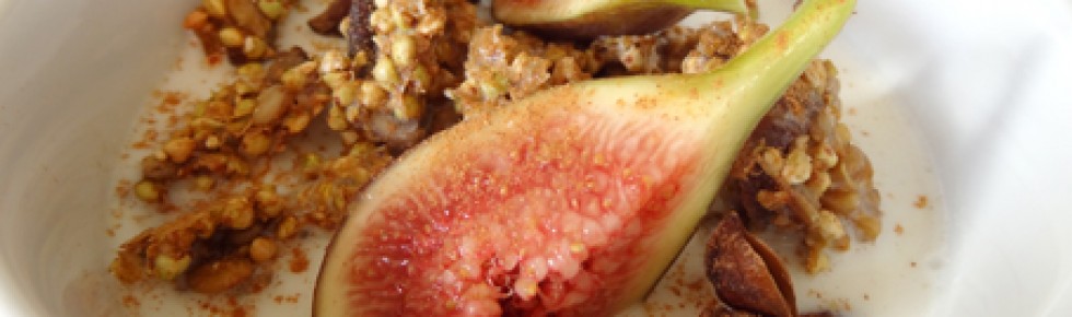 Apricot Fig Ginger Buckwheat Crunchies